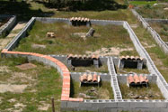 tortugas